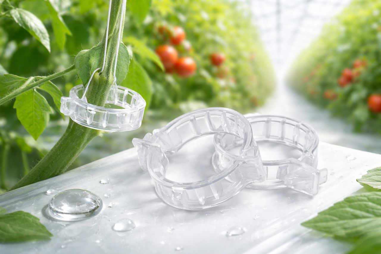 گیره شفاف نگهدارنده بوته 25 میلیمتر ترکیه - 5000 عددی